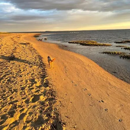 Welcome To The White House Вилла *